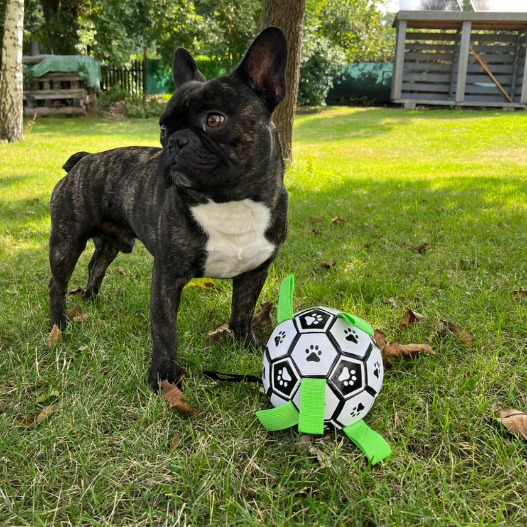 Spielen