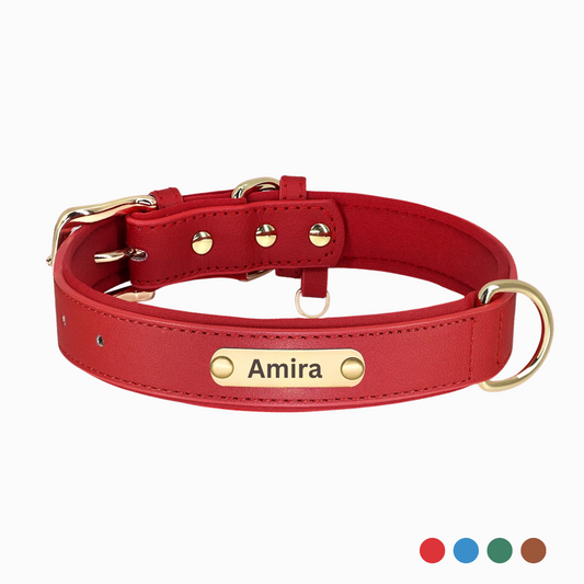 Hundehalsband mit Gravur