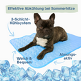 Bild in Galerie-Betrachter laden, Kühlmatte für den Sommer
